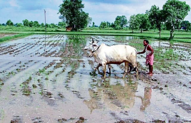 Retail inflation decrease to 5.96% for agricultural workers, 6.08% for rural workers