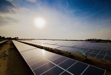 SECI profit rose 15% to Rs 502 crore in FY25