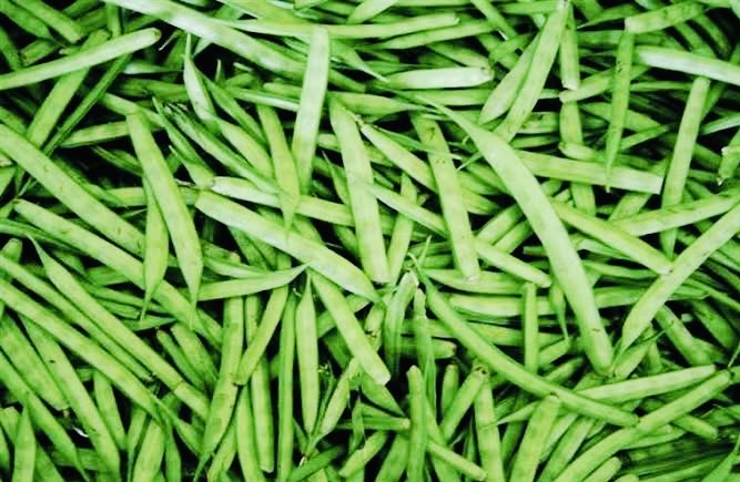 Guarseed futures prices increase due to spot demand