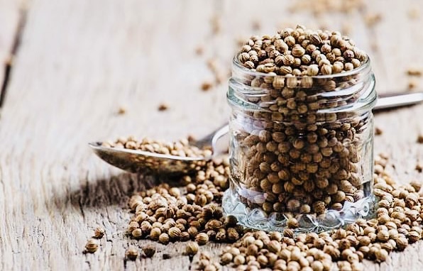 Coriander futures prices increase on demand