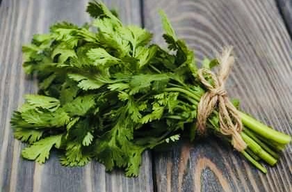 Coriander futures prices increase on demand