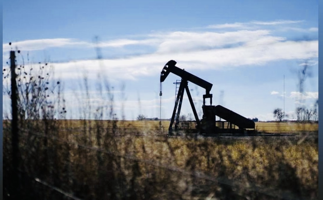 Cottonseed oil futures prices downgrade due to weak demand