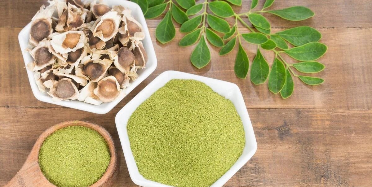 Why everyone’s talking about Moringa — and what the research really says