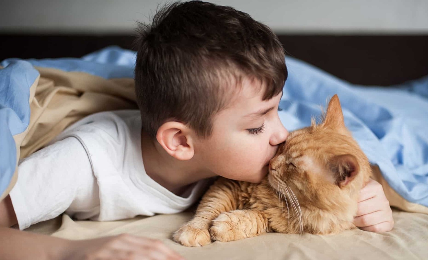 Four-decade analysis revives debate over possible link between cats and schizophrenia risk